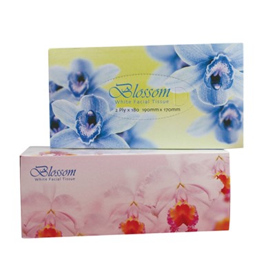 Blossom facial Tissues 2 ply 180 sheets per pack